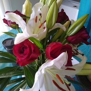 Meet your Posher, Rody